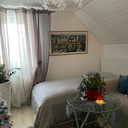 Ferienwohnung Pension Am Berg フィリンゲン・シュヴェニンゲン エクステリア 写真